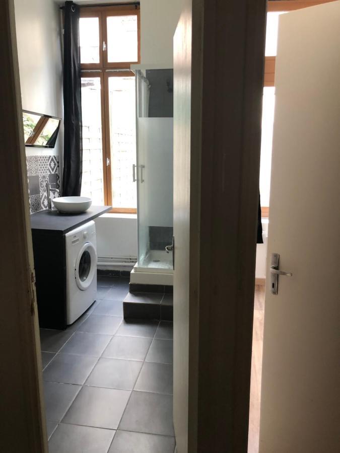 Appartement Et Son Jardin A Lille Fac De Droit المظهر الخارجي الصورة